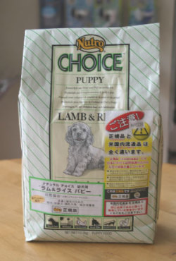 CHOICE�������饤�����ѥԡ���kg